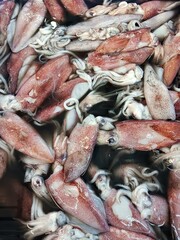 fresh squid on the market
