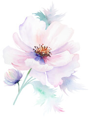 Watercolor pink peony flower with bud and leaves, pastel romantic wedding isolated illustration