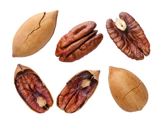 Set of pecan nuts and halves in shell and without on a white background. Isolated