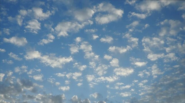 Time lapse altocumulus high cumulus heaped cloud stratocumuliform. Globular masses or rolls in layers or patches. Cumuliform stratocumuliform clouds, altocumulus signifies convection. Blue sky