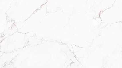 horizontal elegant white marble vector  background.