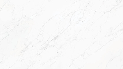 horizontal elegant white marble vector  background.