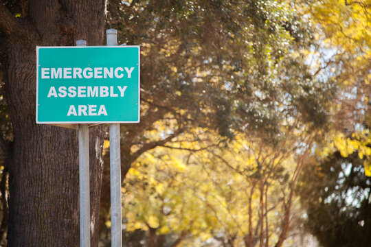 Emergency Assembly Area sign with bokeh tree leaves behind