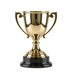 a gleaming gold trophy with ornate handles rests on a black base against a neutral background.