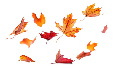 High-quality autumn leaves falling clipart isolated on white background for seasonal creative projects