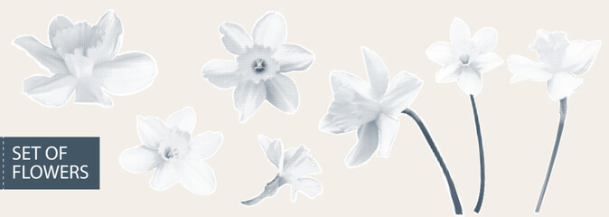 Modern collage halftone spring flowers. Vector elements for design banner, poster, website, social media. EPS10