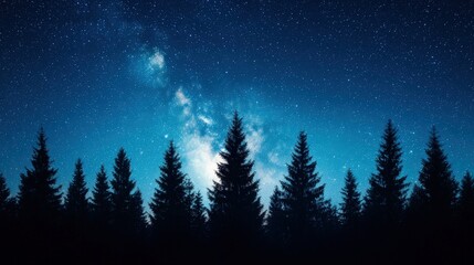 Fototapeta premium Majestic pine forest silhouetted under a starry night sky