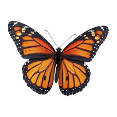 Obraz premium Beautiful Monarch Butterfly with Vibrant Orange and Black Wings Isolated on White - Symbol of Nature, Transformation, and Freedom