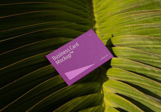 Business Card Laying on the Big Leaf Mockup