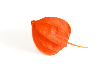 Physalis berry lies on a white background.