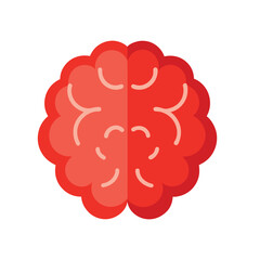 brain organ icon on white background