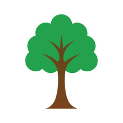 Tree icon on white background