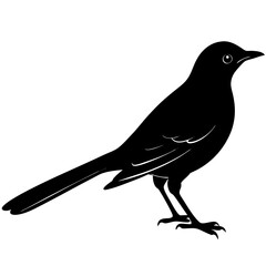 Obraz premium Mockingbird Silhouette vector illustration