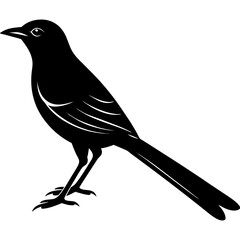 Mockingbird Silhouette vector illustration