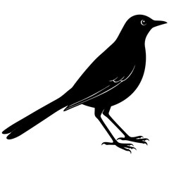 Mockingbird Silhouette vector illustration