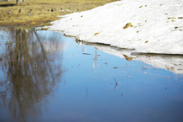 Melting Snowbank Reflecting in Calm Water with Gradual Spring Thaw and Flock of Birds in Background