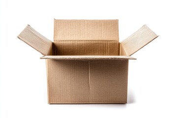 Empty Cardboard Box (2)