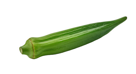 Single Fresh Lady Finger Okra Isolated White Background Deep Green Sharp Focus Clean Detailed Vegetable