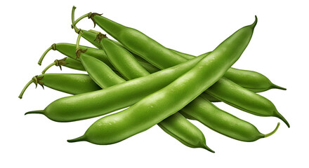 Organic Green Beans Bunch Stems Attached Isolated Transparent Background PNG Fresh Vegetable Clean Detail