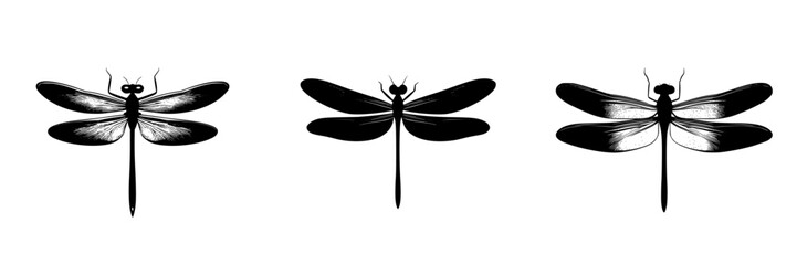 Vector illustration of three dragonflies in black and white for artistic design and decoration
