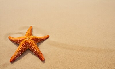 Radiant starfish basking on sun-kissed shores, inviting relaxation and escape