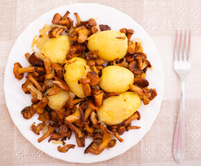 Delicious fried chanterelles with new potatoes on a white plate top view
