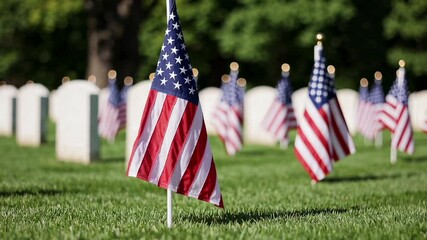 American flags gently waving near white tombstones in a green cemetery, symbolizing memorial tribute to fallen military heroes and national remembrance