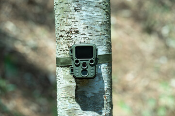 トレイルカメラ