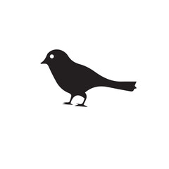 bird on a branch