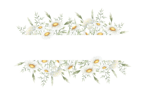 Wildflowers chamomile, yarrow and meadow grasses. Hand drawn isolated watercolor rectangular frame of yellow and white field rustic flowers with copy space for invitations, postcards, certificates.