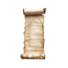 parchment scroll png