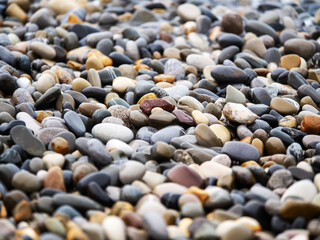 Sea stones