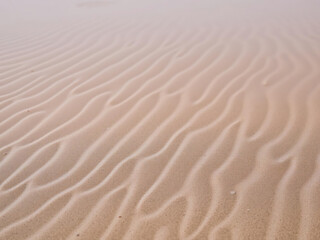 Obraz premium Sand Ripple Patterns