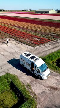 A white camper van parked near vibrant tulip fields in the Netherlands. Colorful rows of tulips in shades of red, yellow, and pink stretch toward the horizon under a clear blue sky.