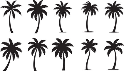 Obraz premium Palm tree icon set. Tropical palm trees in varying sizes Vector silhouette on a transparent background.
