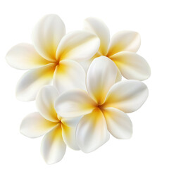 Fototapeta premium Unique white and yellow flowers in artistic arrangement