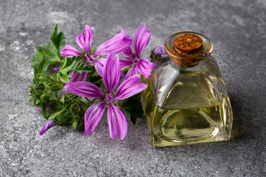 Essential oil bottle with common mallow or Malva sylvestris blossoms