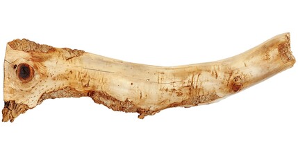 Naklejka premium Piece of light-brown wood, showing natural textures