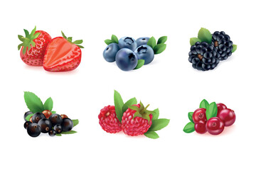 Realistic fruits and berries. Fresh ripe juicy 3d forest wild berry set, strawberry raspberry blueberry blackberry antioxidant vitamin fruit healthy food, exact vector illustration © ssstocker