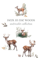 Naklejka premium watercolor collection deer in the woods handdrawn