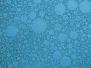 Geometric Bubble Pattern from Cleaning Liquid