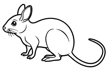 Elegant Jerboa Sketch
