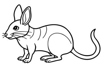Elegant Jerboa Sketch