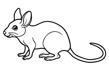 Elegant Jerboa Sketch
