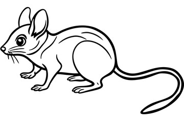 Elegant Jerboa Sketch
