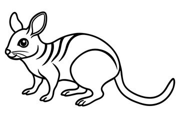 Fototapeta premium Elegant Jerboa Sketch