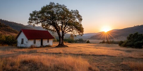 Rustic cabin at sunrise in a golden field. Peaceful country landscape with a lone house at dawn. Possible use for showcasing tranquility and rural charm