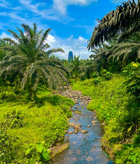 Obraz premium Lush tropical landscape with a clear river winding through dense palm trees, with Pico Cão Grande towering in the background. São Tomé and Príncipe’s vibrant, untouched natural beauty.