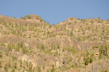 Fototapeta premium Cliff in the Arguineguin ravine. Mogan. Gran Canaria. Canary Islands. Spain.