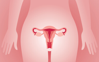 Female reproductive system. Womens health anatomy. Vector Illustration